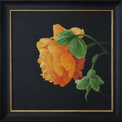 Riasa's Peony